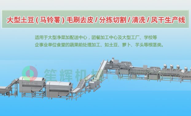 利通连续式土豆去皮清洗切割风干生产线